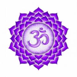 Crown Chakra Ormus Elixir